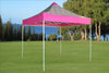 F Model 10'x10' Pink Zebra - Pop Up Tent Pro