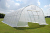 Greenhouse 33'x13' Clear Walk-in Nursery