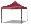 D/S Model 10'x10' - Pop Up Tent Canopy Shelter Shade with Weight Bags and Storage Bag