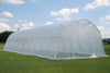 Greenhouse 33' x 13' Clear    Walk-in Nursery
