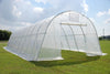 Greenhouse 33' x 13' Clear    Walk-in Nursery
