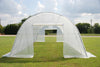 Greenhouse 33' x 13' Clear    Walk-in Nursery