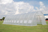 Greenhouse 33' x 13' Clear    Walk-in Nursery