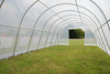 Greenhouse 33' x 13' Clear    Walk-in Nursery