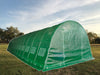 Greenhouse 46'x13' - Walk-in Nursery with Round Arch