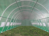 Greenhouse 46'x13' - Walk-in Nursery with Round Arch