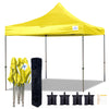 D Model 10'x10' - Pop Up Tent Canopy Shelter Shade with Weight Bags and Storage Bag